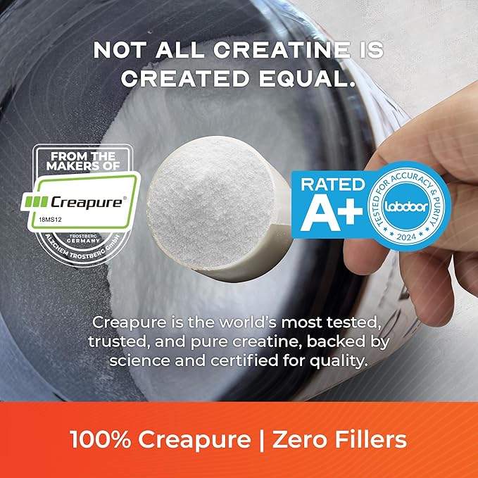 Muscle Feast Creapure Creatine Monohydrate Powder Vegan Keto Friendly Gluten-Free Easy to Mix Muscle Recovery Supplement Trusted Creatine for Muscle Growth Flavored Creatine Natural Orange 300g