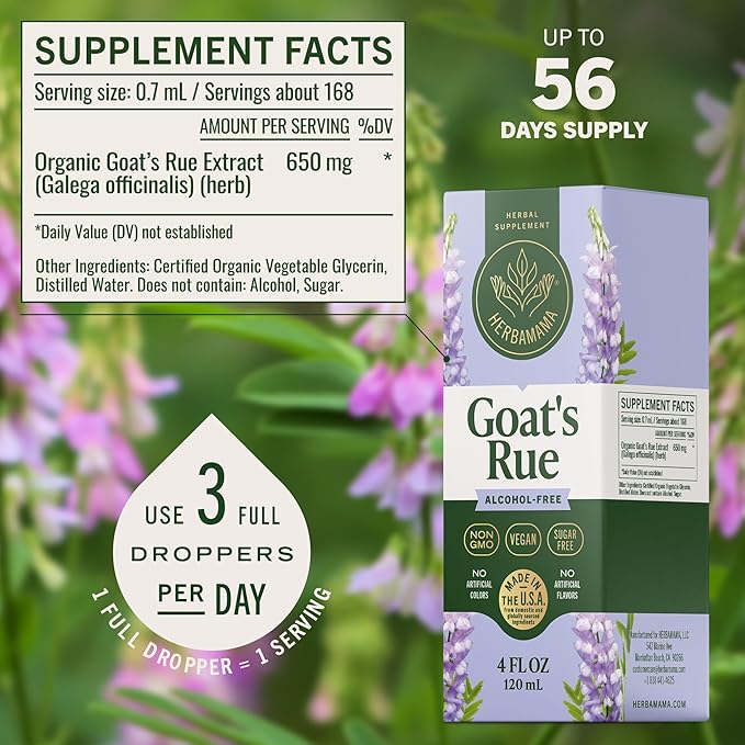 HERBAMAMA Goat's Rue Tincture - Vegan Lactation Support with Galega Officinalis Extract - Breastfeeding Support Drops - Non-GMO Alcohol &amp Sugar-Free Lactation Supplement 56-Day Supply