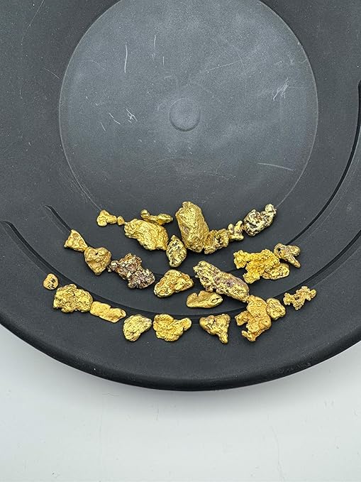 Gold Paydirt Prospecting Bag | Guaranteed Gold | Gold Rush Panning Concentrates + Lucky’s Bonus Bag | 1/4 Gram of Gold