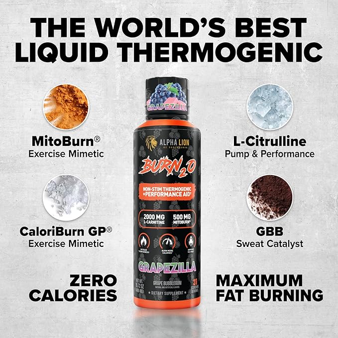 ALPHA LION Stubborn Fat Loss Stack – Superhuman Burn Pre Workout + Burn2O Liquid L-Carnitine 2000mg (ShredBerry) – 2-in-1 Thermogenic Fat Burning Stack for Men &amp Women