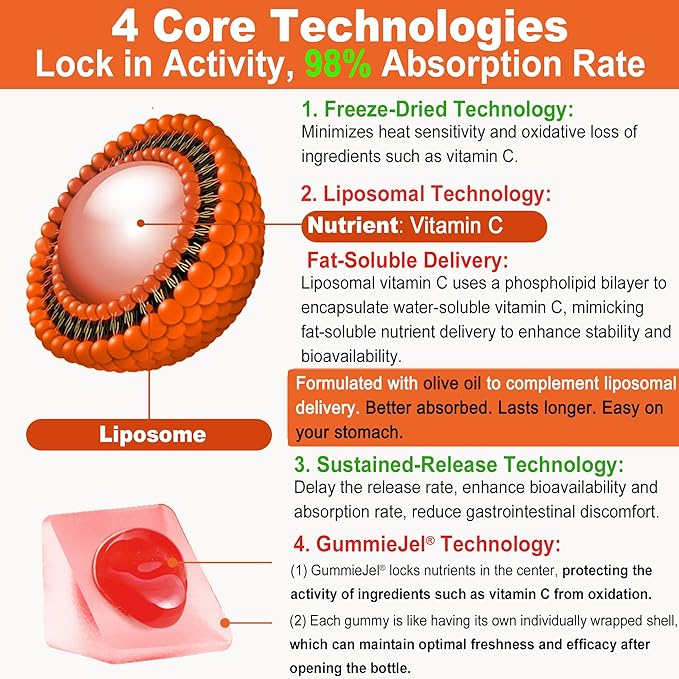 Natural Liposomal Vitamin C 1000mg Gummies for Adults &amp Kids 9+ Vitamin C w/ 11mg Zinc D3 Elderberry Echinacea Bioflavonoid Immune Support Whole Food VIT C from Fruits Sugar Free 2 Pack