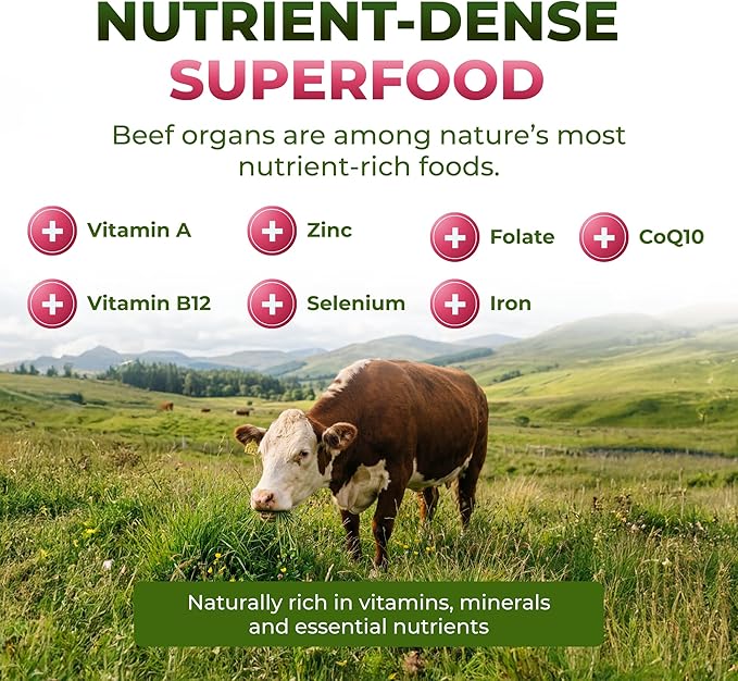 ForestLeaf Beef Organ Supplement for Women - Zero Fillers Grass Fed Beef Organs Complex - 1200mg per Serving - Support Women's Energy &amp Overall Health - 120 Capsules