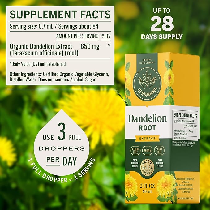 HERBAMAMA Dandelion Root Extract for Liver Detox – Lymphatic Drainage Drops – Dandelion Root Supplement – Non-GMO Alcohol &amp Sugar-Free Liver Support Supplement - 28-Day Supply