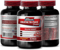 creatine for women and men - Creatine Tri Phase - Assist in Energy Production - Creatine monohydrate Pills Creatine Monohydrate Powder Creatine Alphaketoglutarate Creatine Pyruvate - 1B 90 Tablets