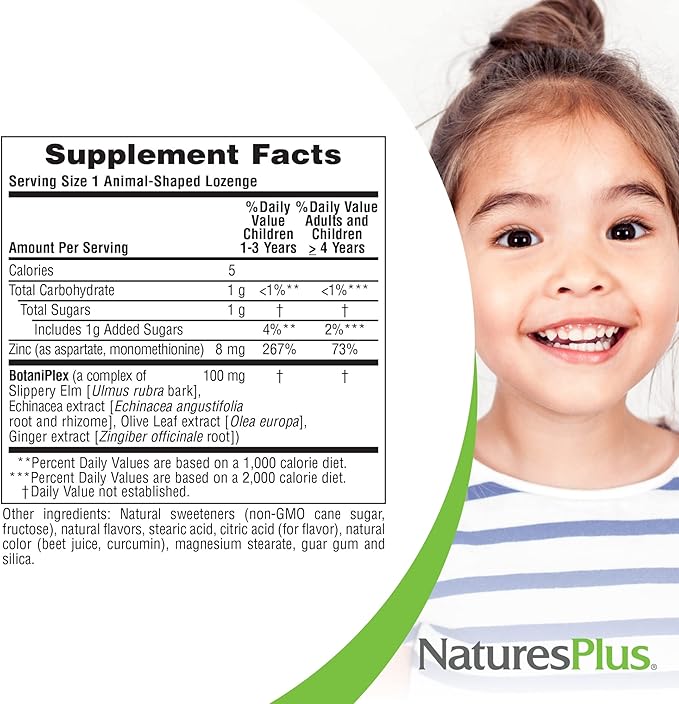 NaturesPlus Animal Parade KidZinc Tangerine Flavor - 90 Animal-Shaped Lozenges Pack of 3 - Organically Chelated Zinc - Vegan Gluten Free - 270 Total Servings