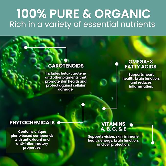 Holistic Bin Marine Phytoplankton Powder | Cultivated in Nordic Seawater | Microalgae Superfood | Natural Source of Omega-3 Chlorophyll &amp Amino Acid | Premium Marine Nutrition Supplement | 50 Gra