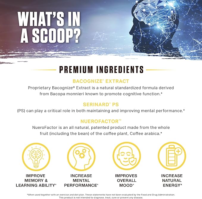 Ambrosia Mental Jewels Nootropic Brain Supplement Powder | Alpha GPC Bacopa &amp Phosphatidylserine | Memory Focus &amp Concentration Support | 30 Servings | Cherry Limeade