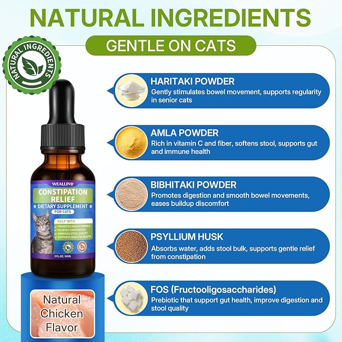 L-lysine Supplement for Cats + Cat Constipation Relief Supplement Liquid Cat Health Supplements for Immune Respiratory &amp Digestive Support Chicken Flavor 2 Fl Oz Each