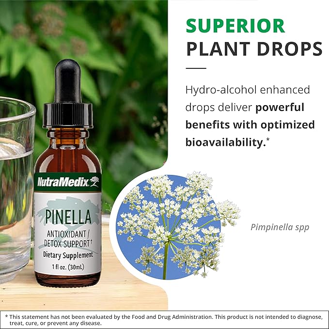 NutraMedix Pinella - Liquid Anise Drops to Help Support Detox Cleansing Concentration &amp Brain Health - Pimpinella Anisum Extract May Help to Fight Occasional Brain Fog (1 oz / 30 ml)