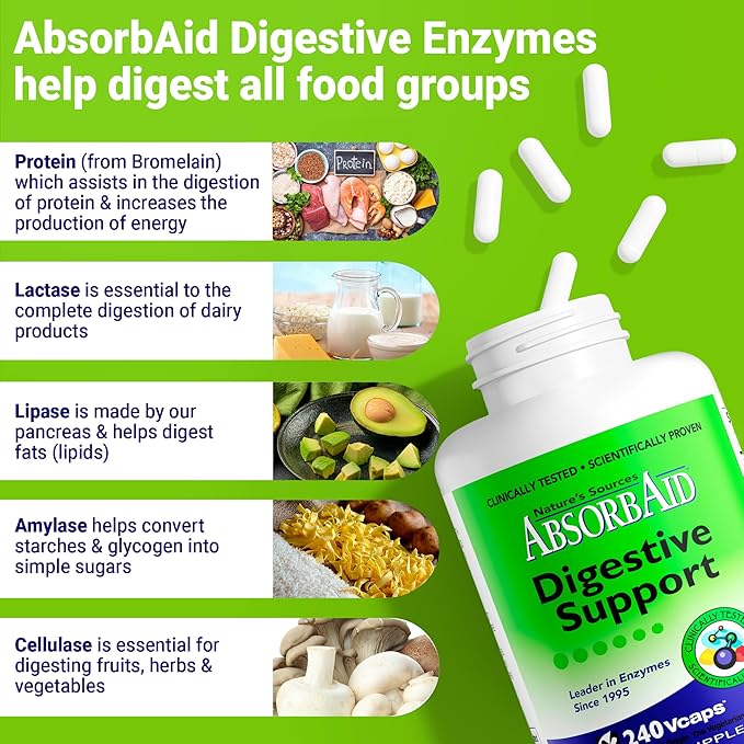 AbsorbAid Original Formula Digestive Support Enzyme Supplement 240 Veggie Capsules (240 Capsules)
