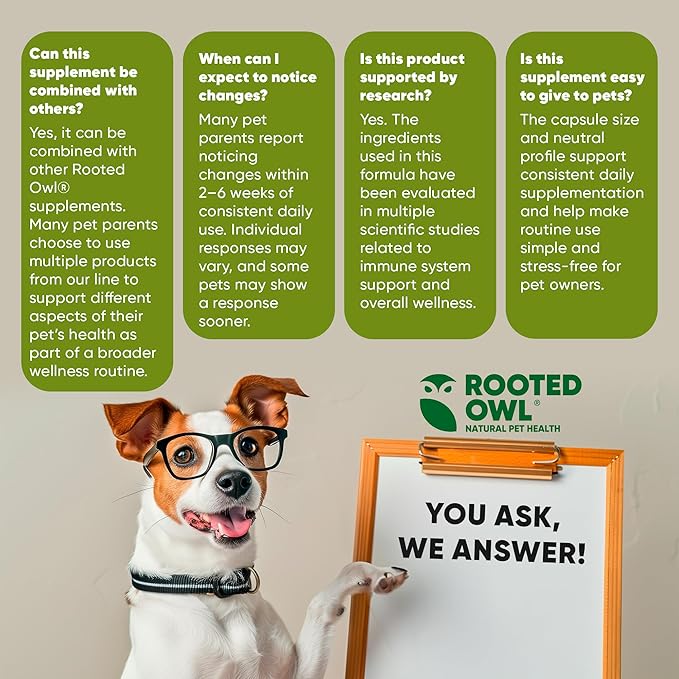 Rooted Owl Natural Immunity - Cat and Dog Immune Support - Triple Mushroom Supplement for Dogs &amp Cats with Reishi Shiitake and Maitake Mushrooms - 60/ct Vegan Capsules