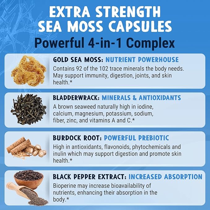 MAJU 4-in-1 Organic Sea Moss Capsules Wild Chondrus Crispus Seamoss w/Bladderwrack + Burdock Root Stronger Than Gel Irish Sebi Inspired Raw Powder in Pills 500 mg Capsule (60 ct)