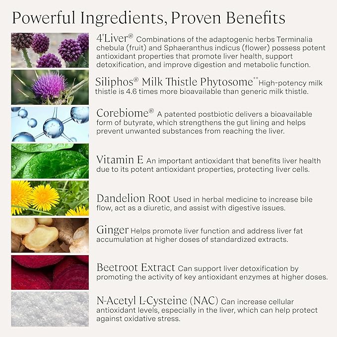 Stonehenge Health Dynamic Liver – Siliphos Milk Thistle Formula – Liver Support &amp Antioxidant Support Gut-Liver Axis Selenium Zinc Vitamin E Ginger Beetroot Extract Non-GMO 60 Veg Caps (2 P