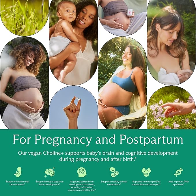 Needed. Prenatal Choline+ Liquid Capsules for Cognitive Development - Choline Supplements For Pregnancy - Aids Baby Brain Development &amp Supports Healthy Pregnancy - Third Party Tested - 30 Liquid