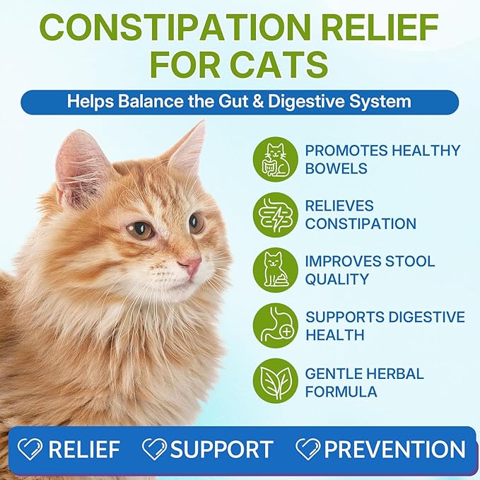 L-lysine Supplement for Cats + Cat Constipation Relief Supplement Liquid Cat Health Supplements for Immune Respiratory &amp Digestive Support Chicken Flavor 2 Fl Oz Each
