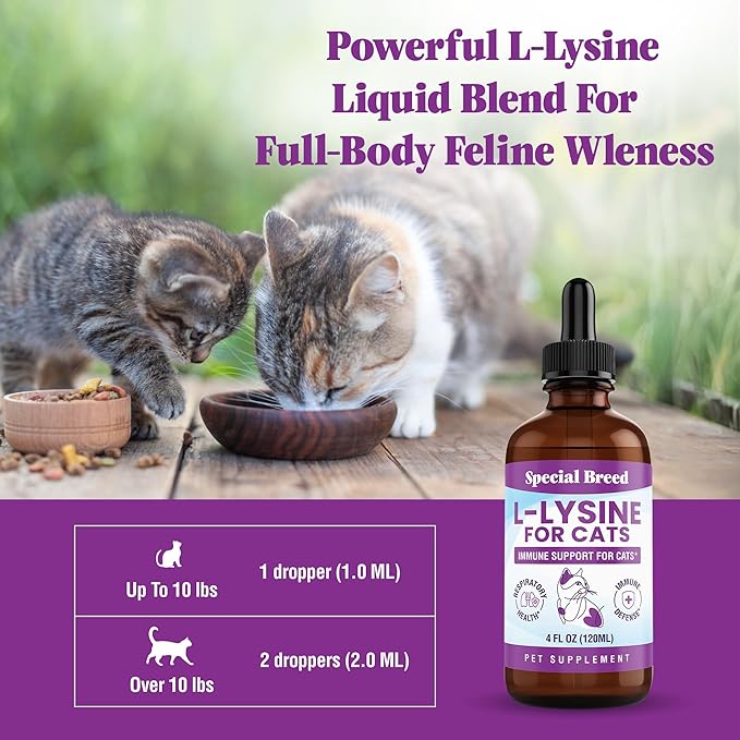 L-Lysine Supplement for Cats &amp Kittens – Immune Support Liquid for Feline Respiratory Health Sneezing Runny Nose &amp Watery Eyes – 250mg Lysine Cat Drops with Vitamins Complex – Chicken Flavor