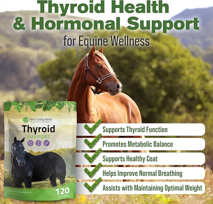 Silver Lining Herbs Thyroid Support for Horses – Herbal Horse Supplement for Normal Thyroid Function Hormone Balance &amp Healthy Metabolism with Irish Moss Kelp Parsley – 120-Day Supply