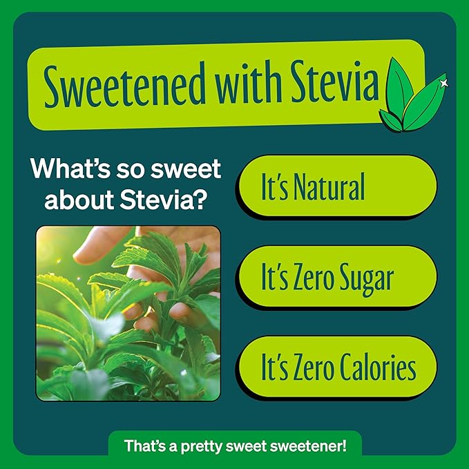 Zevia Zero Calorie Soda Ginger Ale 12 Ounce Cans (Pack of 20)