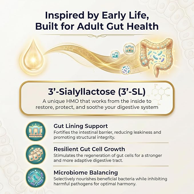 Gut Health - Gut Barrier Function Epithelial Cell Growth Immune Support Enhances Nutrient Absorption Microbiome Balance (HMO 3'-SL) (1 Pack)