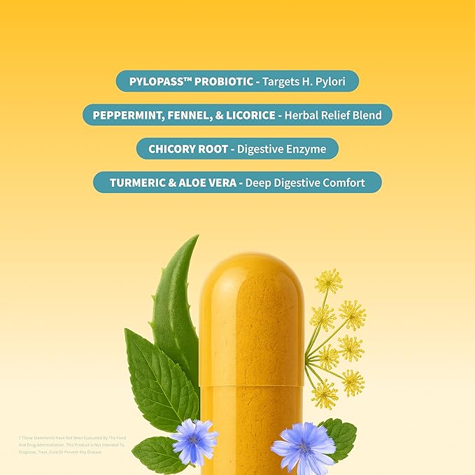 Snap Supplements Gut Health Lipase Supplement with Probiotics for Women &amp Men Digestive Enzymes &amp Prebiotics - Turmeric Aloe Pylopass &amp Zinc 50 Vegetarian Capsules