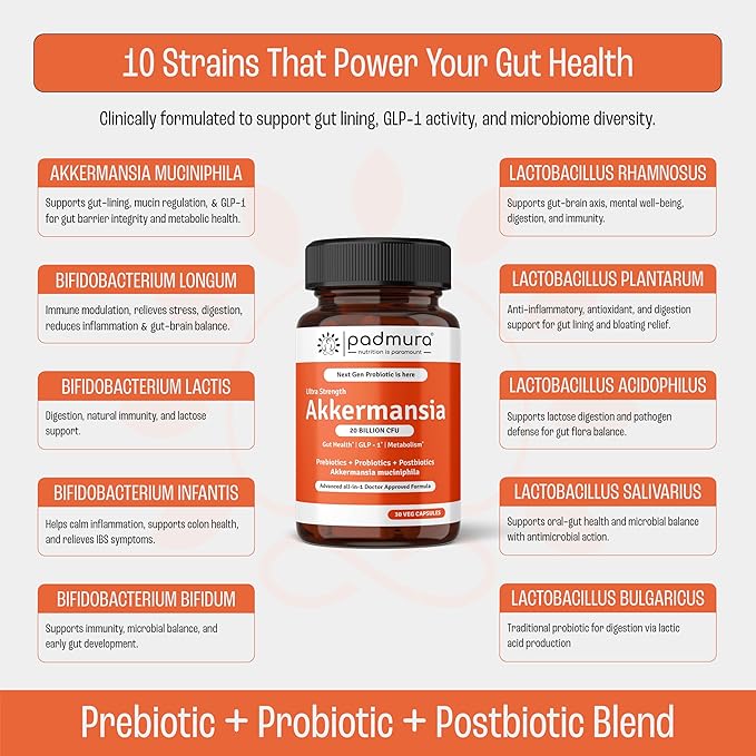Akkermansia Muciniphila Probiotic Supplement - 20 Billion CFU | 30 Veg Capsules | Prebiotic + Probiotic + Postbiotic Blend | Increases GLP-1 Production | Supports Digestion &amp Gut Health