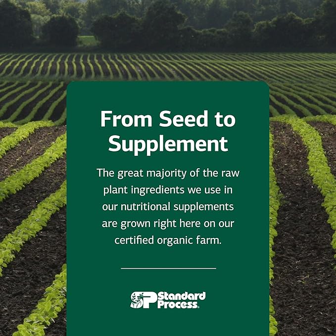 Standard Process C Synergy - Supplement to Support Connective Tissue Health - Whole Food-Based Supplement to Aid Immune Health - Connective Tissue Support with Vitamin C &amp Buckwheat Flour - 90 Tab