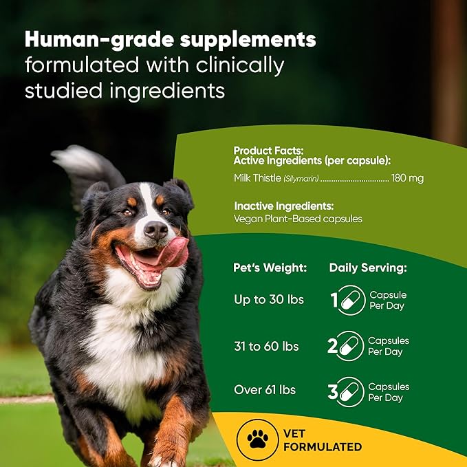 Rooted Owl Liver Support for Dogs - Natural Liver Health Supplement - Milk Thistle for Dogs - Vegetarian Capsules - 60/ct