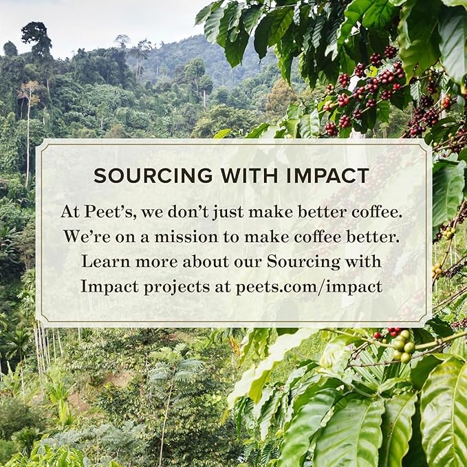 Peet's Coffee Medium and Dark Roast Keurig K-Cup Pods Bundle - Café Domingo 54 Count and Major Dickason's Blend 75 Count