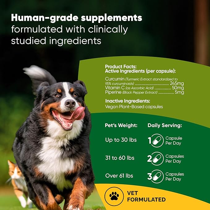 Rooted Owl Turmeric - Turmeric Supplement for Dogs and Cats - with Curcumin Piperine and Vitamin C for Anti-Inflammatory Relief - 60/ct