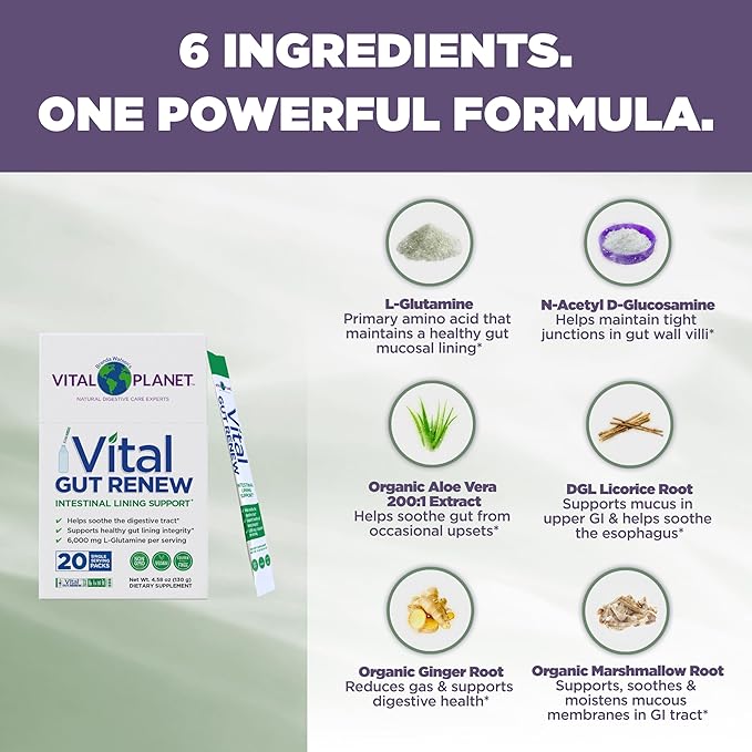 Vital Planet - Vital Gut Renew Powder Supplement for Leaky Gut Repair with L-Glutamine Marshmallow and Ginger Root DGL Licorice Root and Organic Aloe Vera L Glutamine 6000mg 20 Single Serve Packs