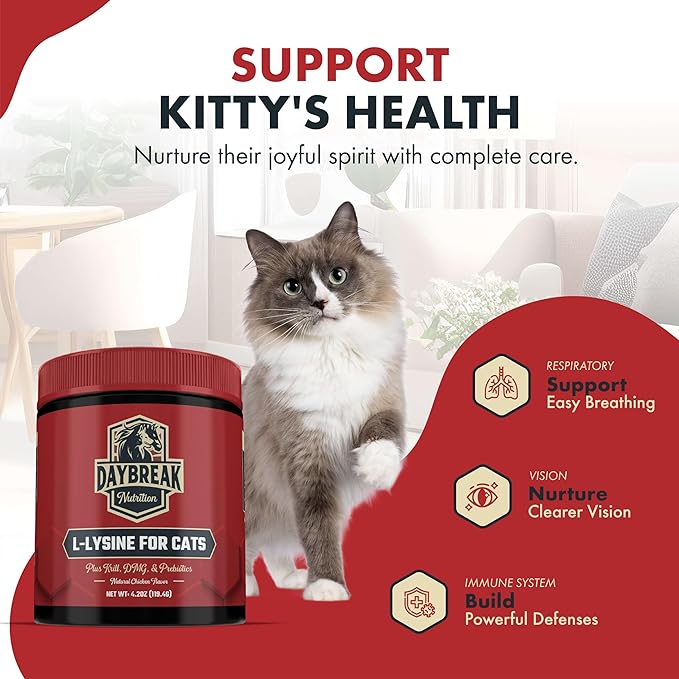 L-Lysine for Cats and Kittens - 900 mg L Lysine Powder for Cats for Immunity &amp Respiratory Support - Cat Supplement with L-Lysine Prebiotics Krill &amp DMG for Immune System Eye Health &amp