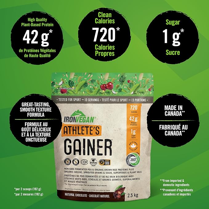 Gainer Chocolate Protein Powder 2500 GR
