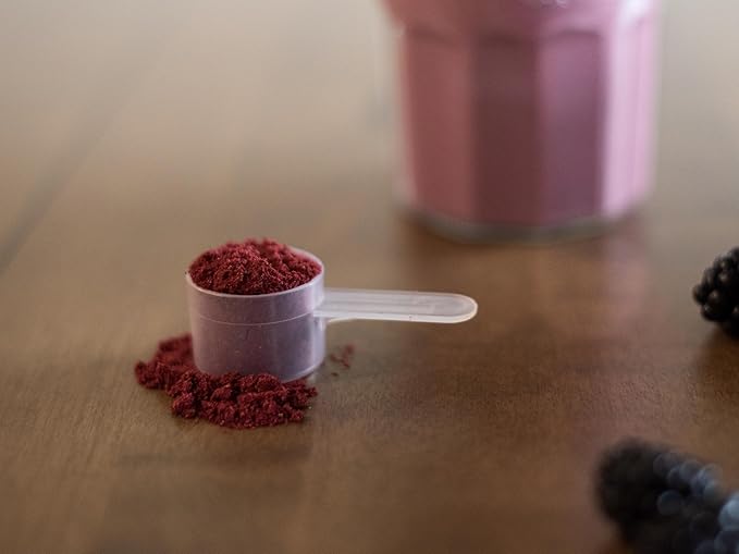 KOYAH - Organic BlackBerry Powder: 30 Servings (1 Scoop = 1/4 Cup Fresh): Freeze-Dried Whole-Berry Powder Raw