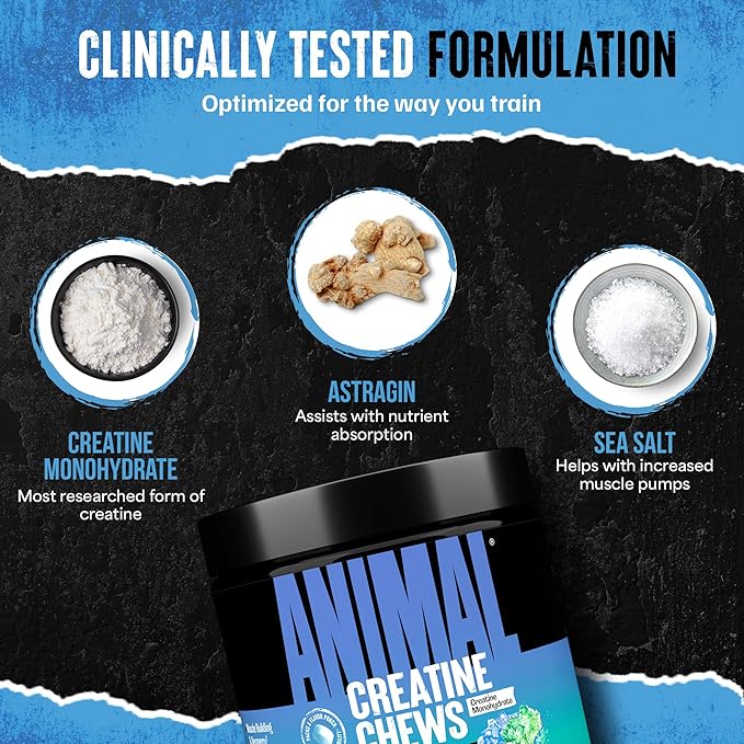 Animal Creatine Chews – Enhanced Creatine Monohydrate Chewable Tablets with AstraGin &amp Sea Salt Max Absorption Pre Post-Workout Lean Muscle Growth Strength &amp Recovery New Flavor Candy Crus