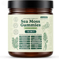 Sea Moss Gummies 16-in-1 Ashwagandha Black Seed Oil Bladder Wrack Turmeric Vitamin C Apple Cider Vinegar Non-GMO (Green Apple)