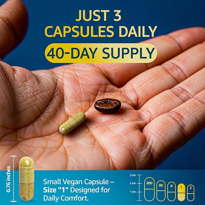 Organic Lions Mane Supplement Capsules - 240 Real Mushrooms Lion's Mane Capsules with Ginkgo Biloba Herb Bacopa Monnieri L Theanine L Tyrosine - Mushroom Complex for Daily Wellness