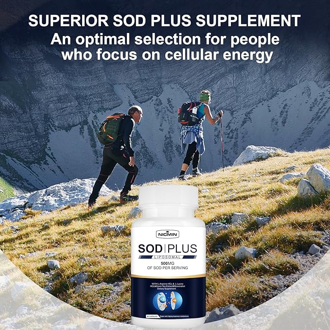 Superoxide Dismutase Supplement 500mg - SOD Plus with Liposomal Glutathione AKG Green Tea Extract L-Arginine Lysine Resveratrol and Vitamin E for Immune Support Antioxidant 180 Capsules