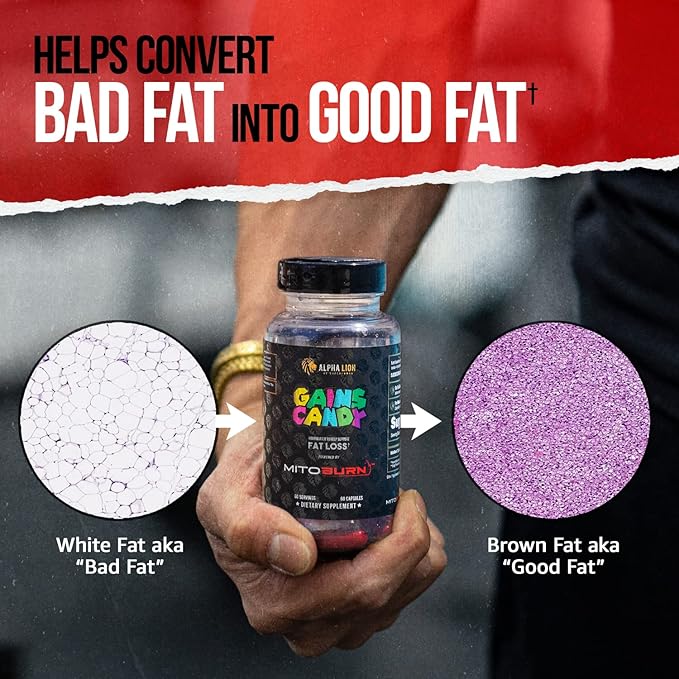ALPHA LION Gains Candy Supplement Pills that Support Weight Loss Appetite Suppressant Keto-Diet Friendly Decrease Body Fat Upgrade Energy &amp Workout Performance 60 Capsules (MitoBurn®)