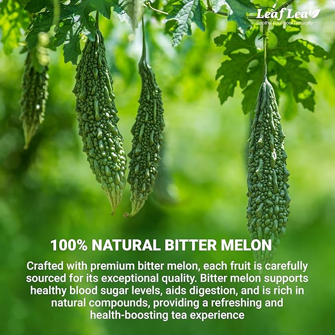 LeafLea 80 Bitter Melon Tea Bags Premium Dried Momordica Charantia (Melon Amargo Gohyah) Herbal Fruit Tea | Supports Wellness and Digestion | Caffeine-Free Sugar-Free Vegan Pack of 2