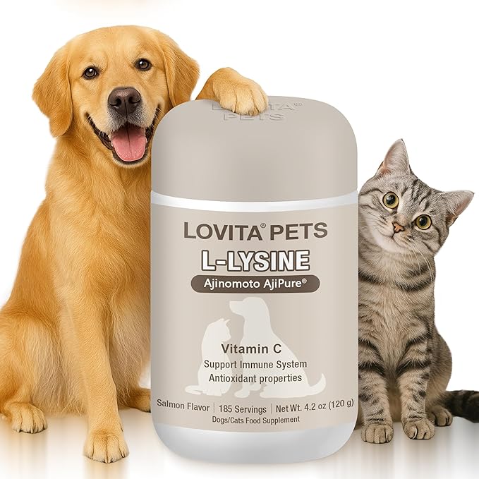 LOVITA Pets L-Lysine Powder for Cats &amp Dogs Immune Support Pet Supplement with AjiPure L-Lysine and Vitamin C Salmon Flavor for Daily Use Includes Scoop