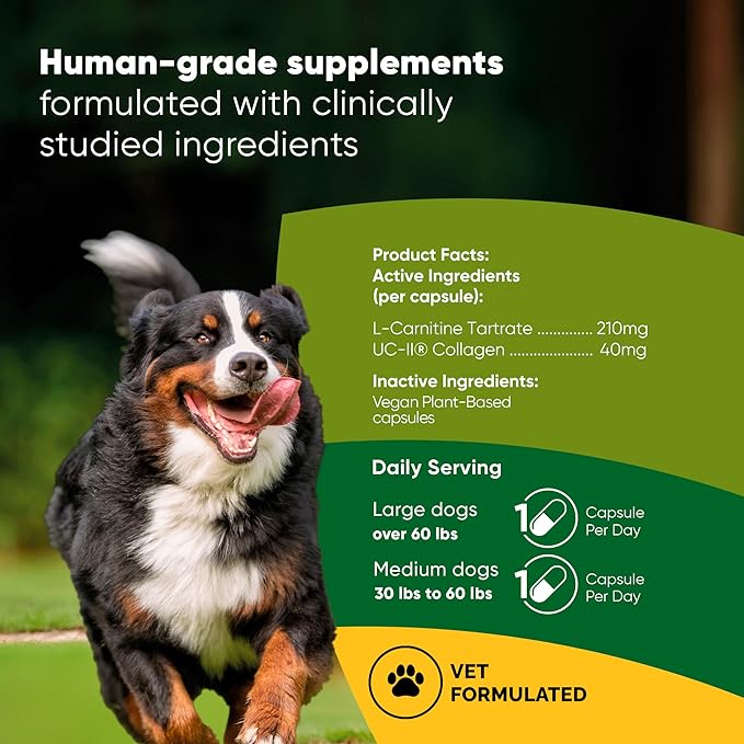 Rooted Owl Joint and Muscle Support for Large Dogs (Over 30 Lbs) - Supplement with UC-II Type II Collagen and L-Carnitine - 30 Count