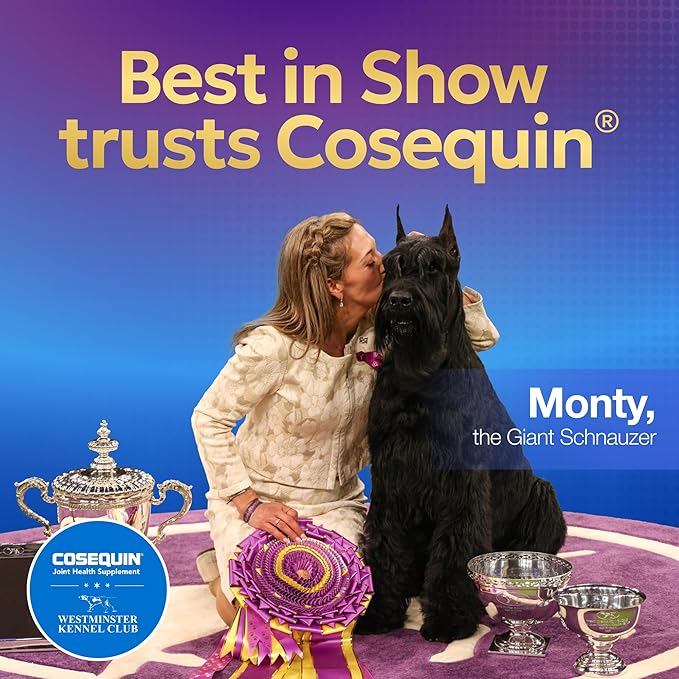Cosequin Minis Soft Chews Maximum Strength with MSM Plus Omega345 Count (Pack of 2)