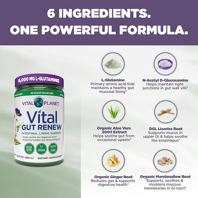 Vital Planet - Vital Gut Renew Powder Supplement for Leaky Gut Repair with L-Glutamine Marshmallow and Ginger Root DGL Licorice Root and Organic Aloe Vera L Glutamine 6000mg 13.76 oz