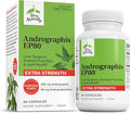 Terry Naturally Andrographis EP80 Extra Strength - Brain Health &amp Immune Support - Joint Health Supplement to Aid Mobility - Vegan Adaptogen Supplement for Energy &amp Liver Support - 60 Capsules
