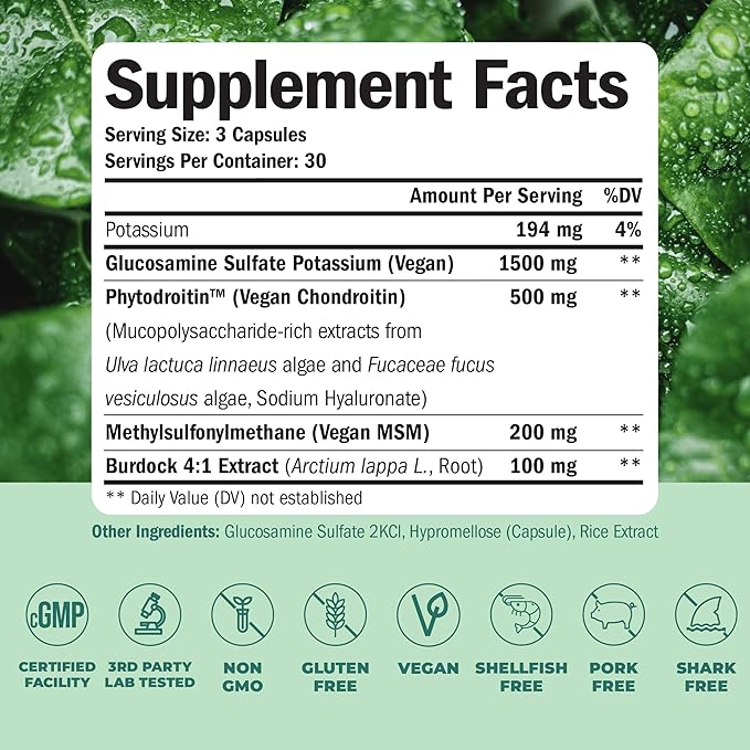 Vegan Glucosamine Chondroitin MSM &amp Vegan Multivitamin – Plant-Based Joint Support and Daily All-in-One Multivitamin Bundle for Energy Flexibility &amp Overall Health