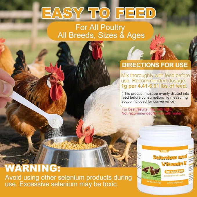 Selenium and Vitamin E Powder for Chickens Selenium for Chickens Immune System Muscle Support &amp Prevents Improve Wry Neck Selenium Vitamin E Supplements Suitable for All Poultry Chicken &a