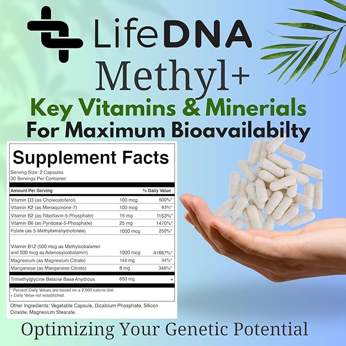 LIFEDNA Methyl + Methylfolate - Methylated Folate Vitamins Active 5-MTHF TMG Optimized Homocysteine Brain Cardiovascular Highly Bioavailable MTHFR Supplement