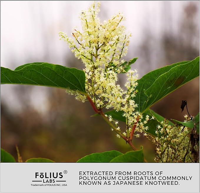 FOLIUS LABS Ultra High Purity Resveratrol Capsules - 99% Trans-Resveratrol - Japanese Knotweed Extract - Support Immunity Support Healthy Aging - 60 Caps Reservatrol Supplement