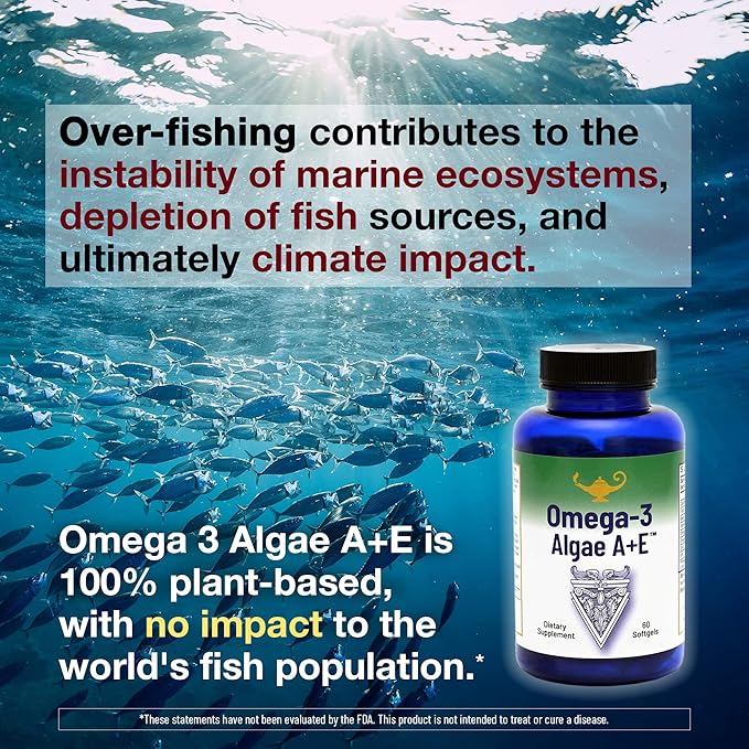 RnA ReSet Omega-3 Algae A+E – Plant-Based DHA &amp EPA with Vitamins A and E Fish Oil Alternative (60 Softgels) NSF Contents Certified Cardiovascular Health Joint Support Brain Health