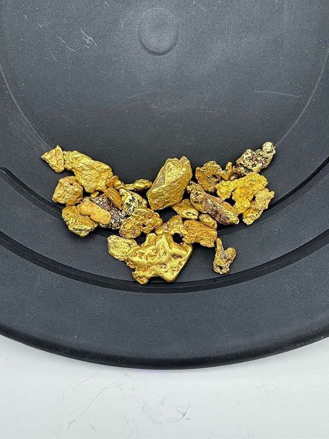Gold Paydirt | Gold Rush Panning Concentrates unsearched &amp Added | Gold Prospecting Pay Dirt + Guaranteed Lucky’s Bonus Bag | 1 Gram of Gold